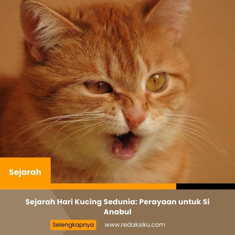 Sejarah Hari Kucing Sedunia: Perayaan untuk Si Anabul