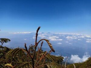 PENDAKIAN GUNUNG SELAMET 3.432MDPL PENDAKIAN GUNUNG SELAMET 3.432MDPL