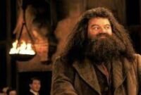 Pemeran Hagrid Di Film Harry Potter Tutup Usia