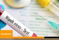 Hati-hati Virus Nipah, Kurangi efek Penularannya dengan teknik Ini