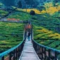 Tempat Wisata Bandung