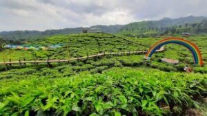 Lima Tempat Wisata Di Jember Yang Wajib Dikunjungi Lima Tempat Wisata Di Jember Yang Wajib Dikunjungi