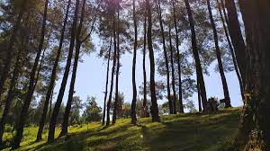 Tempat Wisata Ciamis