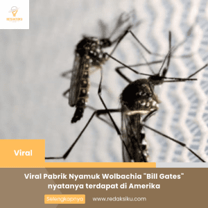 VIRAL PABRIK NYAMUK WOLBACHIA &QUOT;BILL GATES&QUOT; NYATANYA TERDAPAT DI AMERIKA