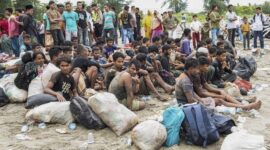 Ditolak di Aceh Utara, 249 Imigran Rohingya Mendarat Lagi di Bireuen