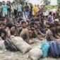 Ditolak di Aceh Utara, 249 Imigran Rohingya Mendarat Lagi di Bireuen