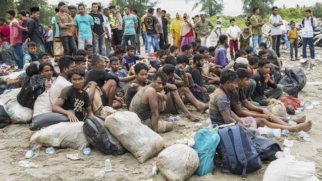 Ditolak di Aceh Utara, 249 Imigran Rohingya Mendarat Lagi di Bireuen
