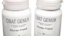 Obat penggemuk badan