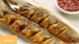 Cara Menggoreng Ikan Lele supaya Minyak Tidak Meletus