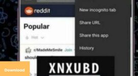 Xnxubd VPN Browser Unduh Video Chrome Terbaru 2023