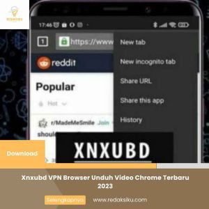 Xnxubd VPN Browser Unduh Video Chrome Terbaru 2023 1 Xnxubd VPN Browser Unduh Video Chrome Terbaru 2023