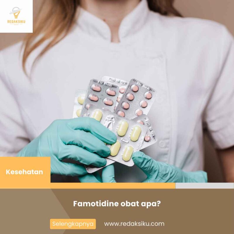 Famotidine obat apa?