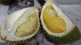 Bolehkah Balita Makan Durian?
