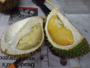 BOLEHKAH BALITA MAKAN DURIAN?