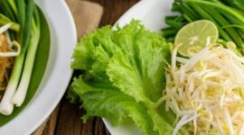 Makanan supaya cepat hamil