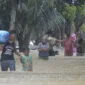 Banjir mengungkung Kota Padang: Ratusan Rumah Tergenang Air