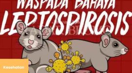 Waspada Virus Leptospirosis, Dua Pasien Meninggal di Kota Probolinggo