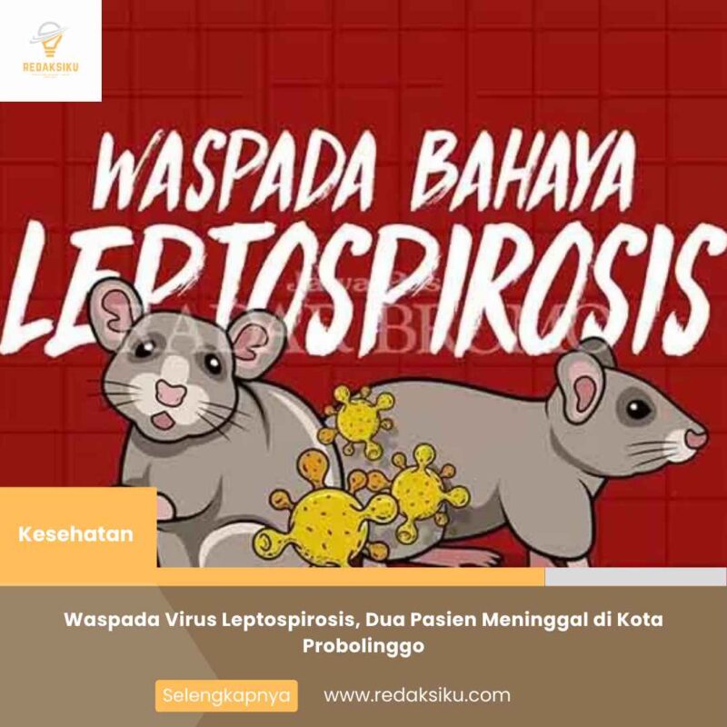 Waspada Virus Leptospirosis, Dua Pasien Meninggal di Kota Probolinggo