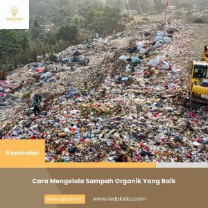 CARA MENGELOLA SAMPAH ORGANIK YANG BAIK CARA MENGELOLA SAMPAH ORGANIK YANG BAIK