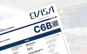 Cara WNA Menjadi Volunteer Di Bali Dengan Visa C6B Dari Fabio Visa Agency