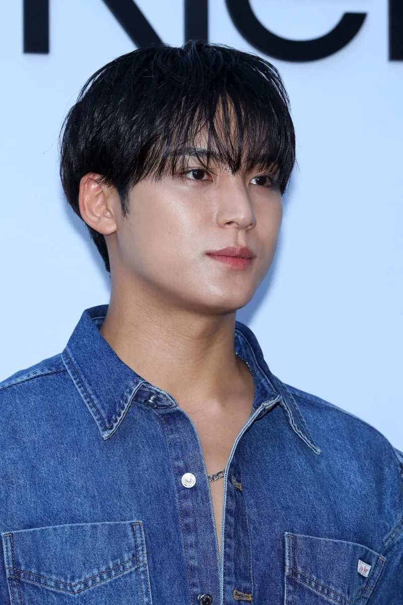 Profil, CV, Fakta Menarik Tentang Mingyu SEVENTEEN