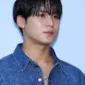 Profil, CV, Fakta Menarik Tentang Mingyu SEVENTEEN