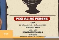 Saksi Kunci Beberkan Pegi ataupun Perong Dalam Skandal Pembantaian Vina di Cirebon