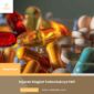 Sejarah Singkat Terbentuknya PAFI