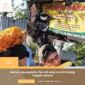 Review Jagung Bakar Pak Afif yang viral di Karang Tengah Jakarta