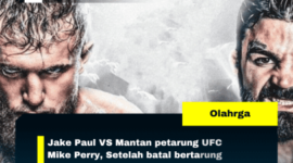 Jake Paul VS Mantan petarung UFC Mike Perry, Setelah batal bertarung dengan Mike Tyson