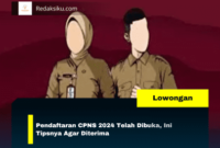 Pendaftaran CPNS 2024 Telah Dibuka, Ini Tipsnya Agar Diterima