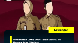 Pendaftaran CPNS 2024 Telah Dibuka, Ini Tipsnya Agar Diterima