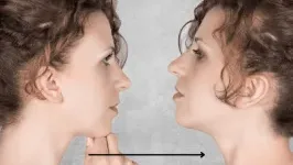 CERPEN: Kembar Identik