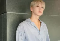 Hoshi SEVENTEEN kasih jawaban kecemasan Penggemar terkait Wajib Militernya