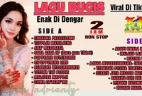 Ini Dia Lagu Bugis Viral yang Enak Didengar