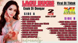 Ini Dia Lagu Bugis Viral yang Enak Didengar