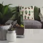 5 Tanaman Indoor yang Segar dan Dapat Mempercantik Ruangan