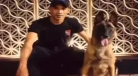 Satpam Plaza Indonesia Di Pecat Karena Pukul Anjing