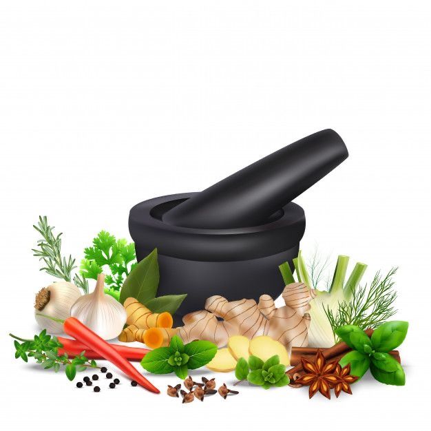 MENGENAL 9 TUMBUHAN HERBAL PENYEMBUH BERBAGAI PENYAKIT MENGENAL 9 TUMBUHAN HERBAL PENYEMBUH BERBAGAI PENYAKIT