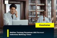 Sekilas Tentang Persatuan Ahli Farmasi Indonesia Belitung Timur