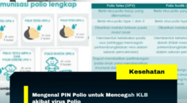 Mengenal PIN Polio untuk Mencegah KLB akibat virus Polio