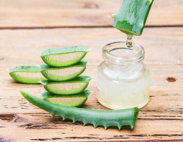 Fresh aloe leaves and aloe gel in the cosmetic jar on wooden table.
