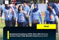 Menjelang Pendaftaran PPPK 2024, BKN Meminta Honorer untuk Tidak Memilih Instansi yang Salah