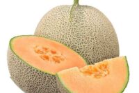 Ilustrasi Buah Melon dan Manfaat Melon untuk Kesehatan Tubuh