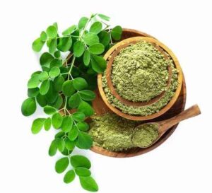 8 Manfaat Daun Kelor untuk Kesehatan yang Sering dilewatkan Begitu Saja Ilustrasi Daun Kelor dan Manfaat Daun Kelor untuk Kesehatan Tubuh