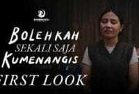 bolehkah sekali saja kumenangis