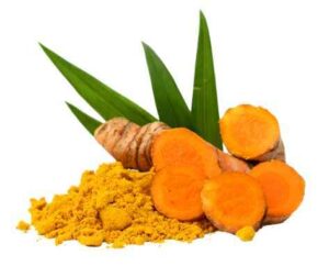 7 Manfaat Temulawak untuk Kesehatan Tubuh Sebagai Obat Herbal Tradisional yang Anti Kanker Ilustrasi Manfaat Temulawak untuk Kesehatan Tubuh