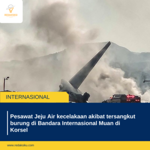 Pesawat Jeju Air kecelakaan akibat tersangkut burung di Bandara Internasional Muan di Korsel Pesawat Jeju Air kecelakaan akibat tersangkut burung di Bandara Internasional Muan di Korsel