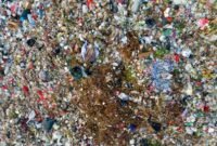 Ilustrasi. Pemkot Banjarmasin tetapkan status darurat sampah imbas penutupan TPAS Basirih. (Foto: Pexels)