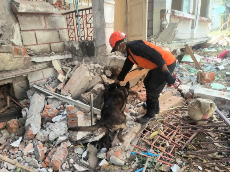 Tim K9 SAR Polri dikirim ke Myanmar dalam misi kemanusiaan membantu korban gempa dengan anjing pelacak terlatih. (Foto: Dok. Humas Polri)